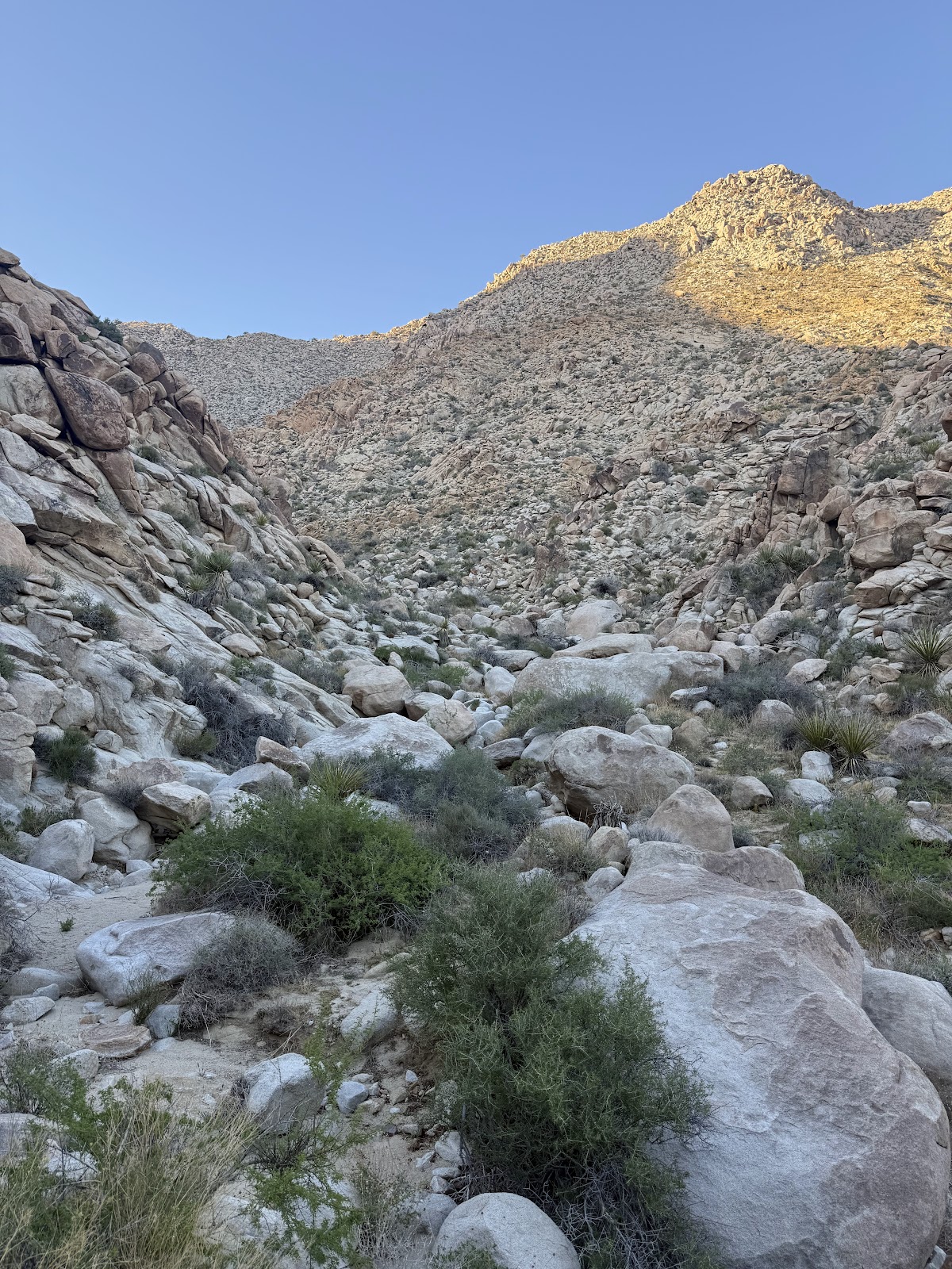 Quail Basin Road