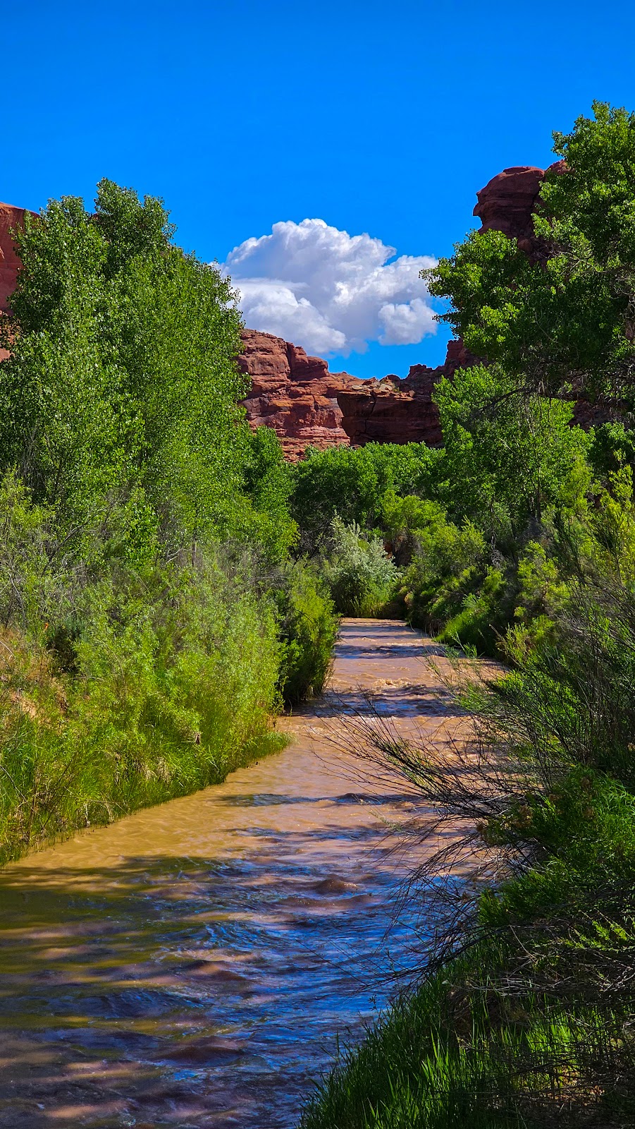 Escalante River