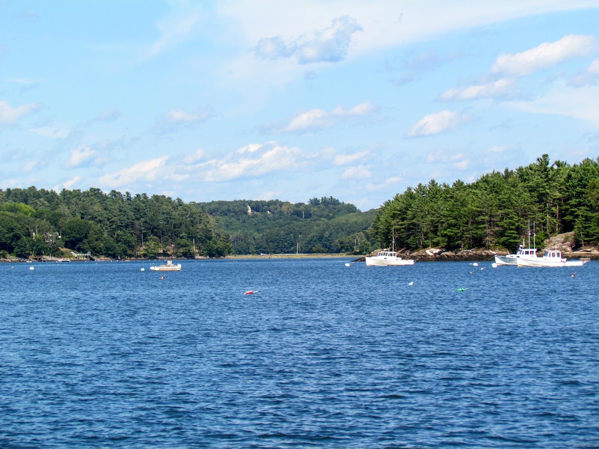 Sheepscot River