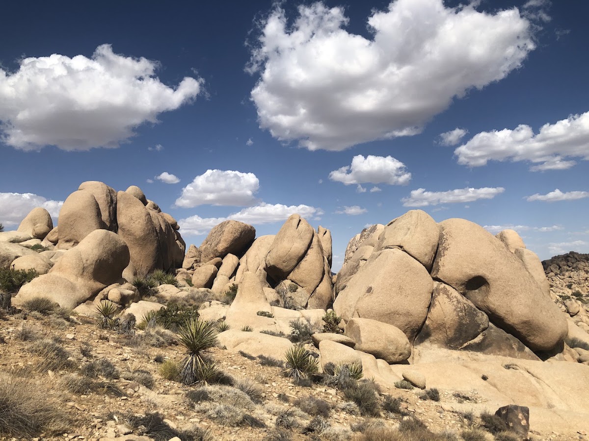 Split Rock Trail