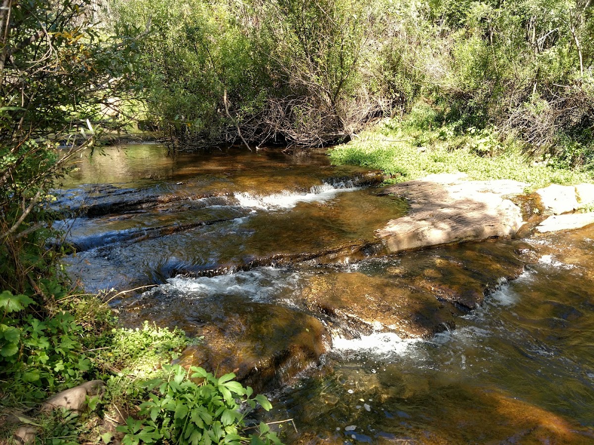 Canyon Creek