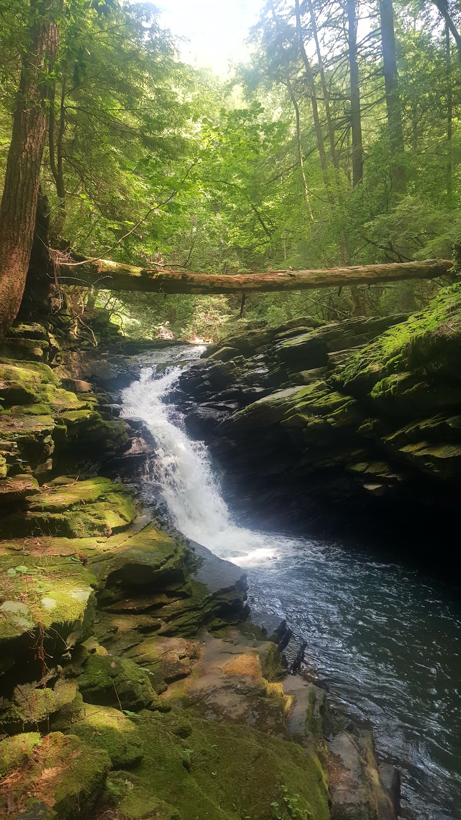 Fiery Gizzard Trail
