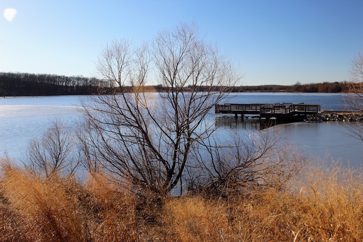 Lake Sugema