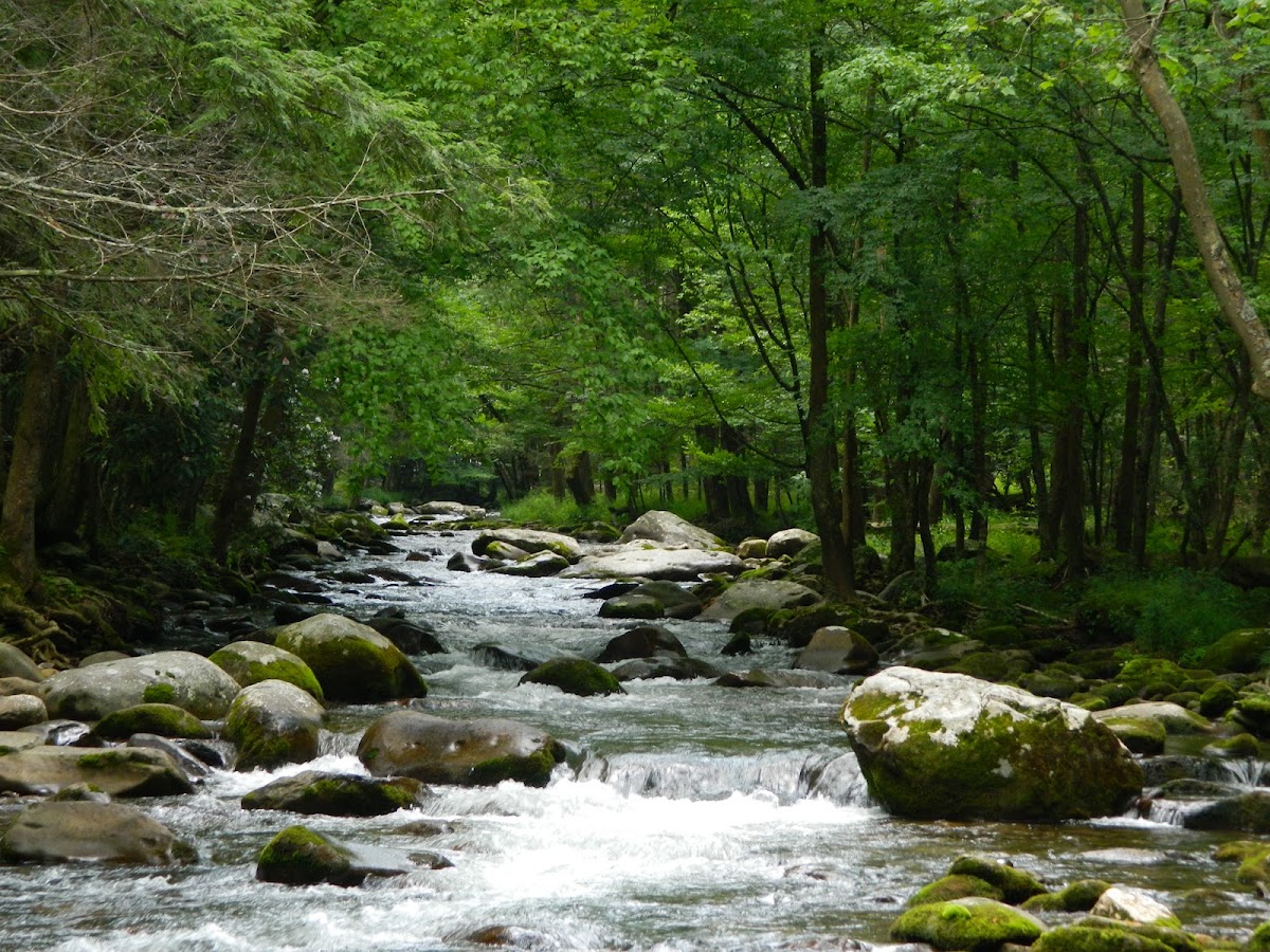 Oconaluftee River