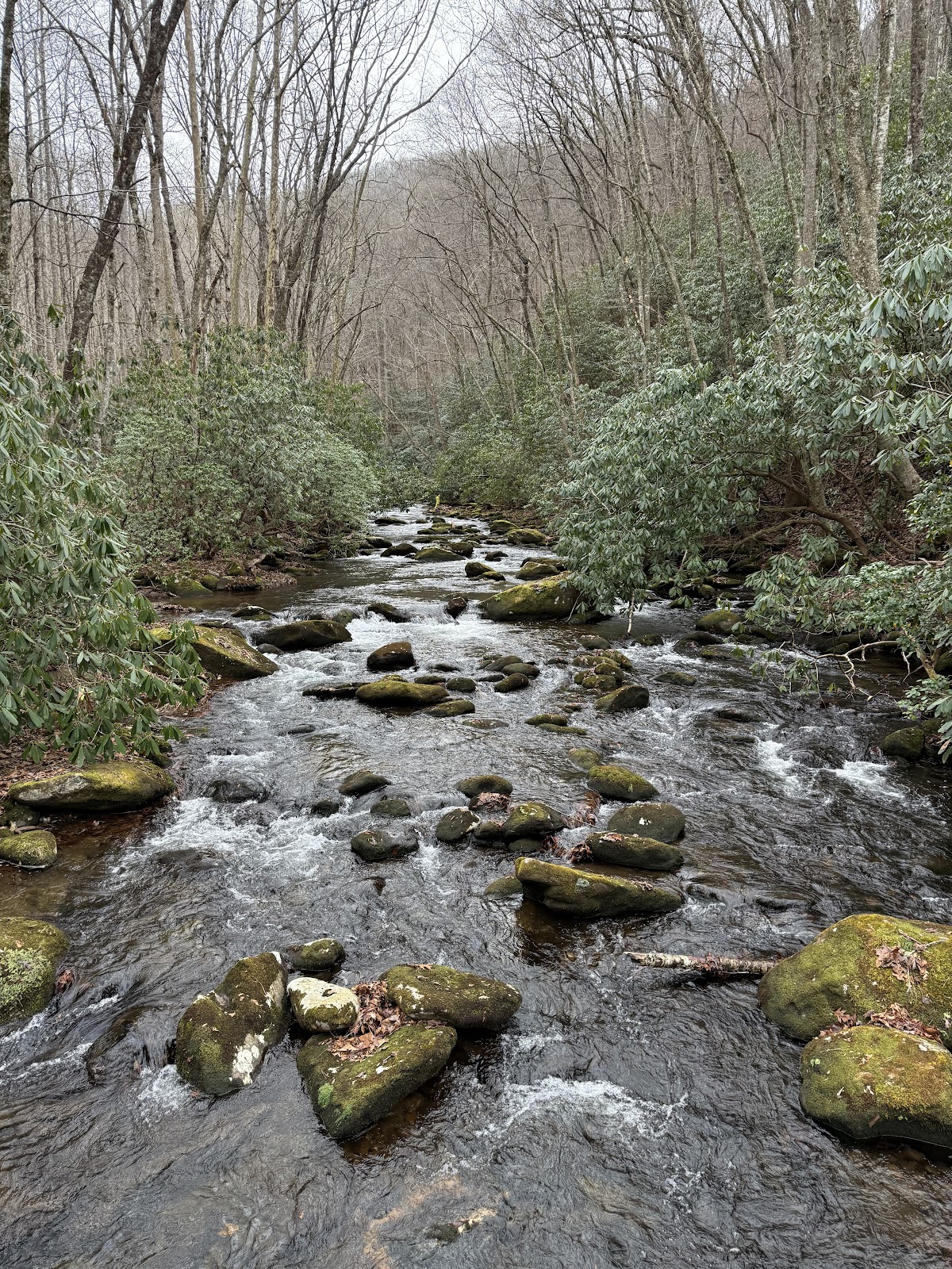 Noland Creek Trail