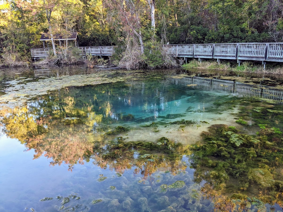 Magnolia Springs State Park
