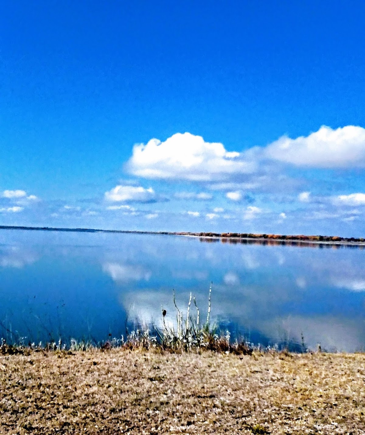 Cedar Bluff Reservoir