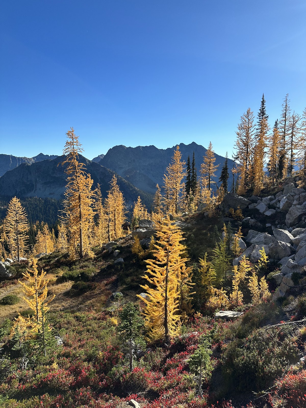 Twisp Pass Trail