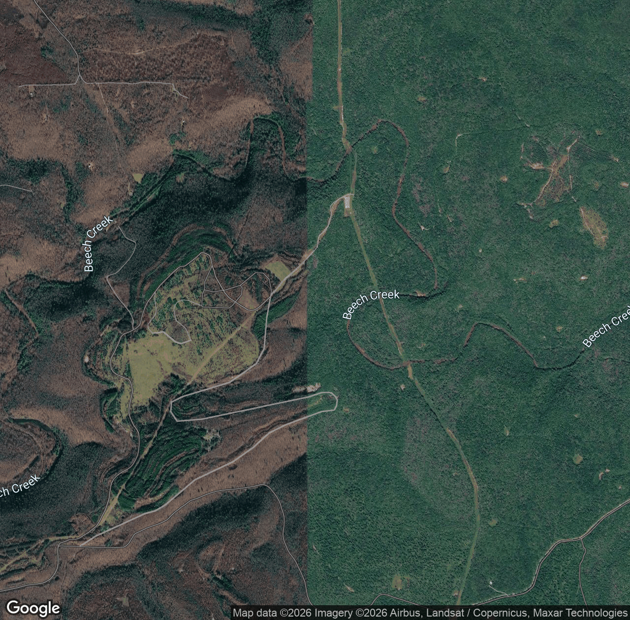 Beech Creek