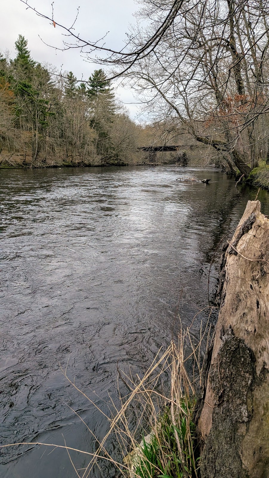Shetucket River