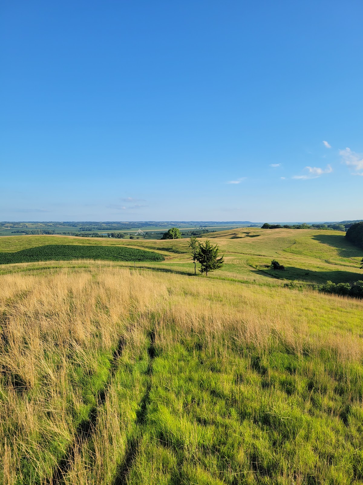 Southwood Conservation Area