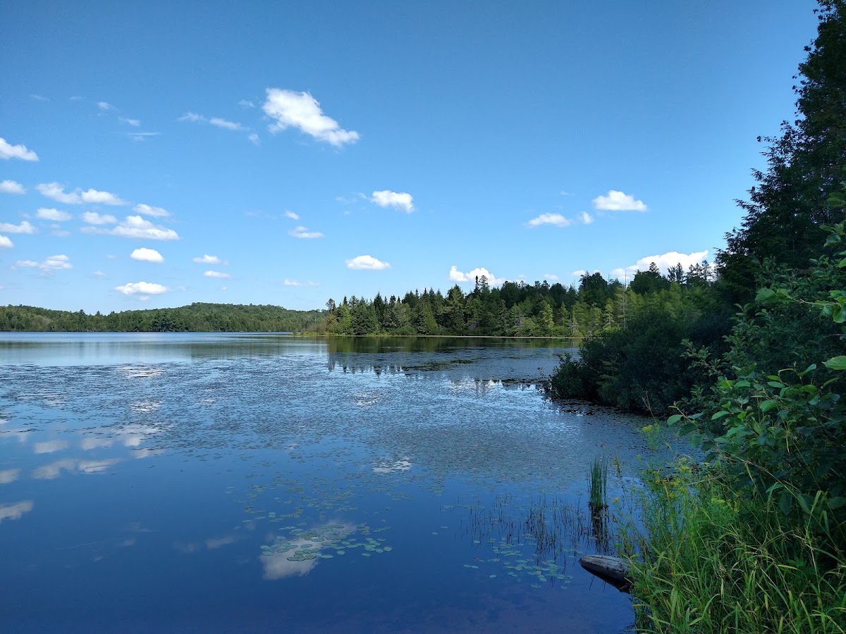 Bob Lake