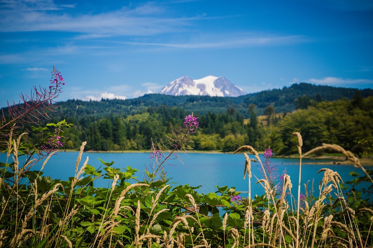 Alder Lake