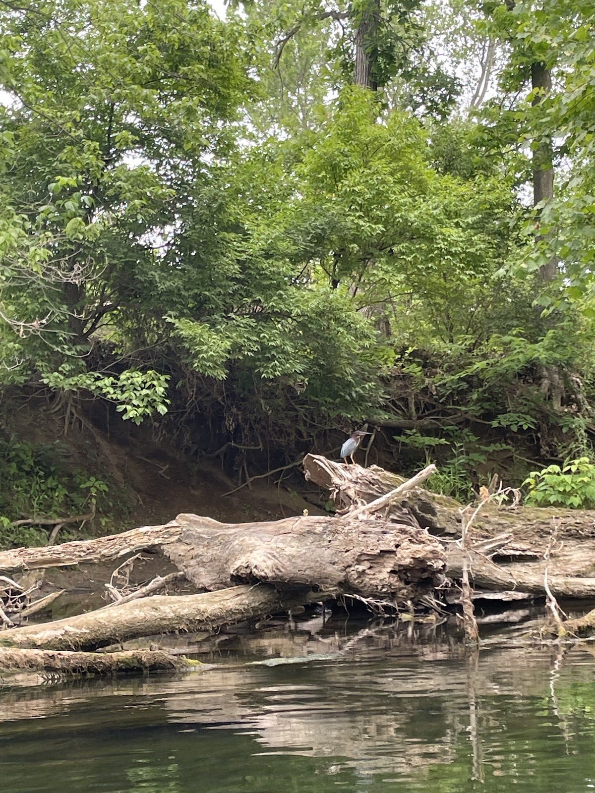 Opequon Creek