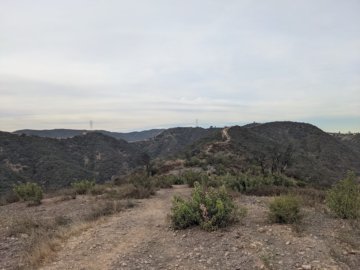 Tigertail Trail