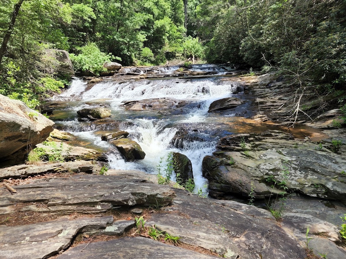 Panther Creek