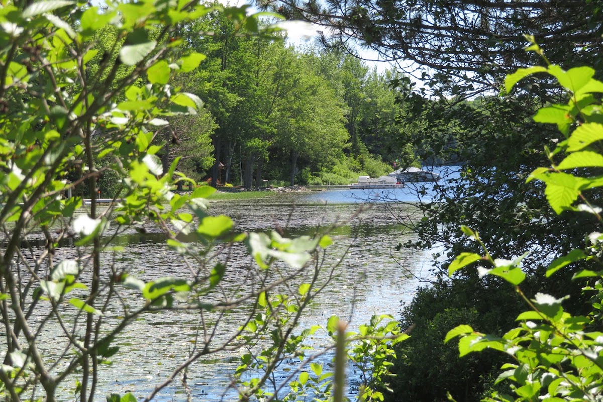 Silver Lake