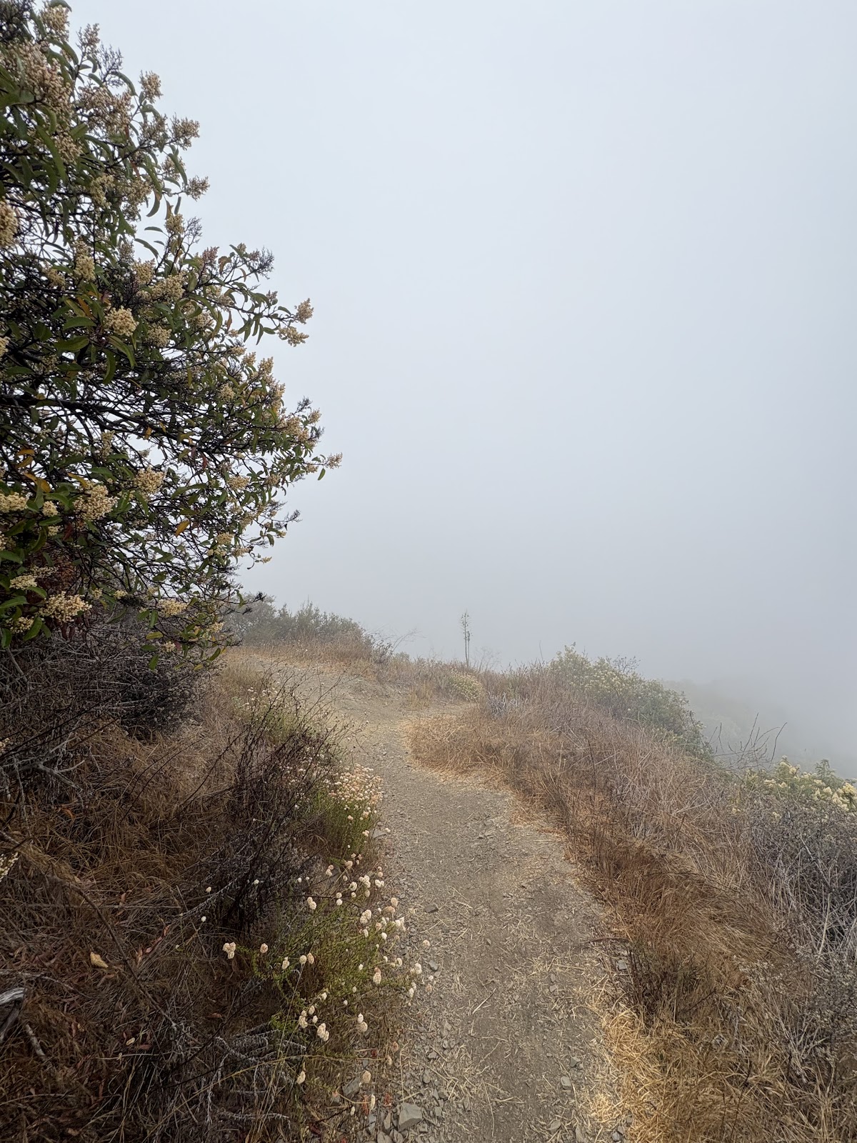 The Riordan Trail