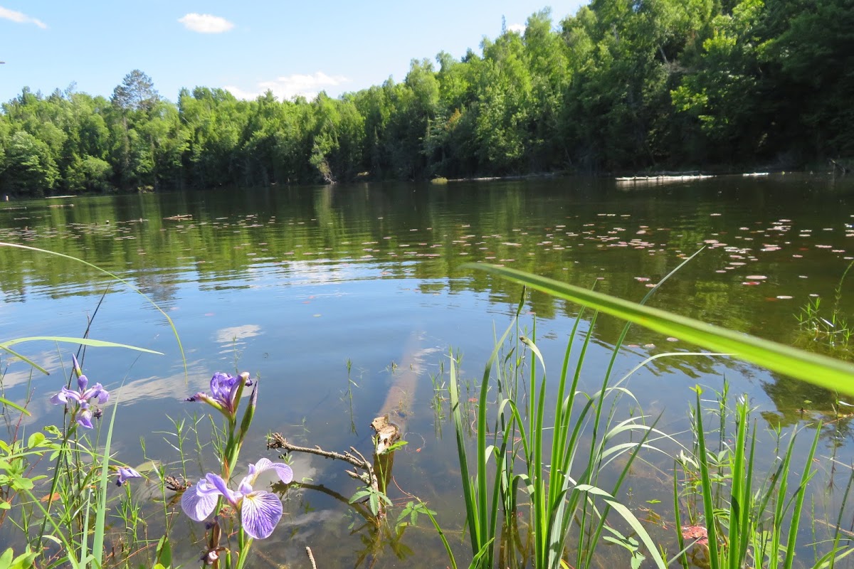 Dinner Lake