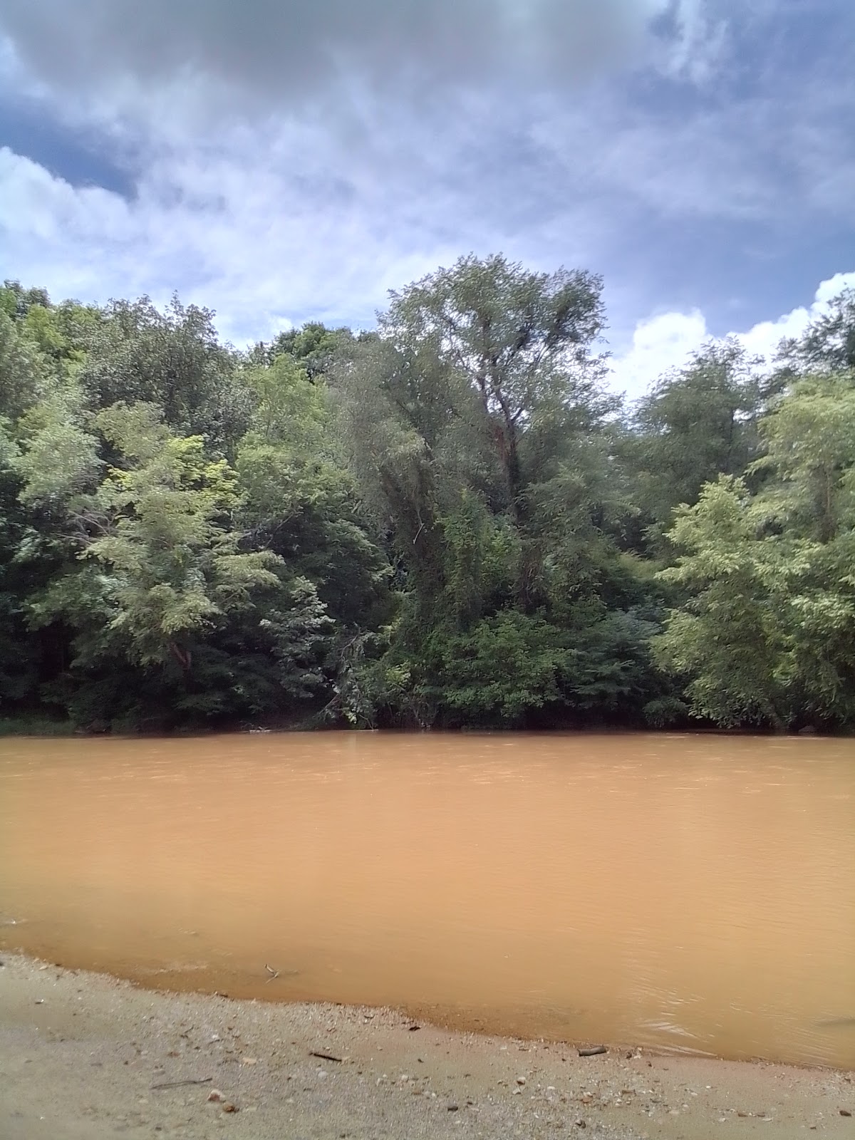Warwoman Creek
