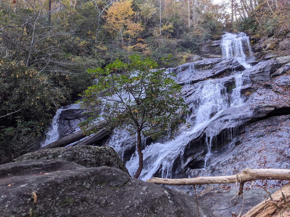 Holcomb Creek