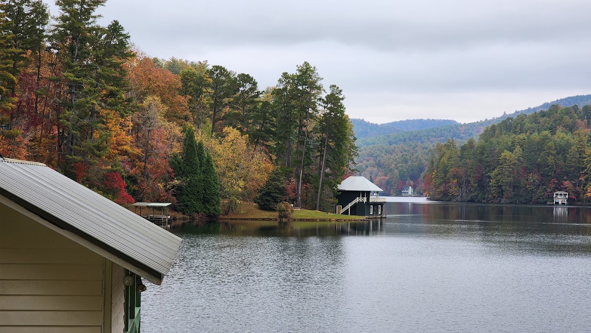 Lake Seed