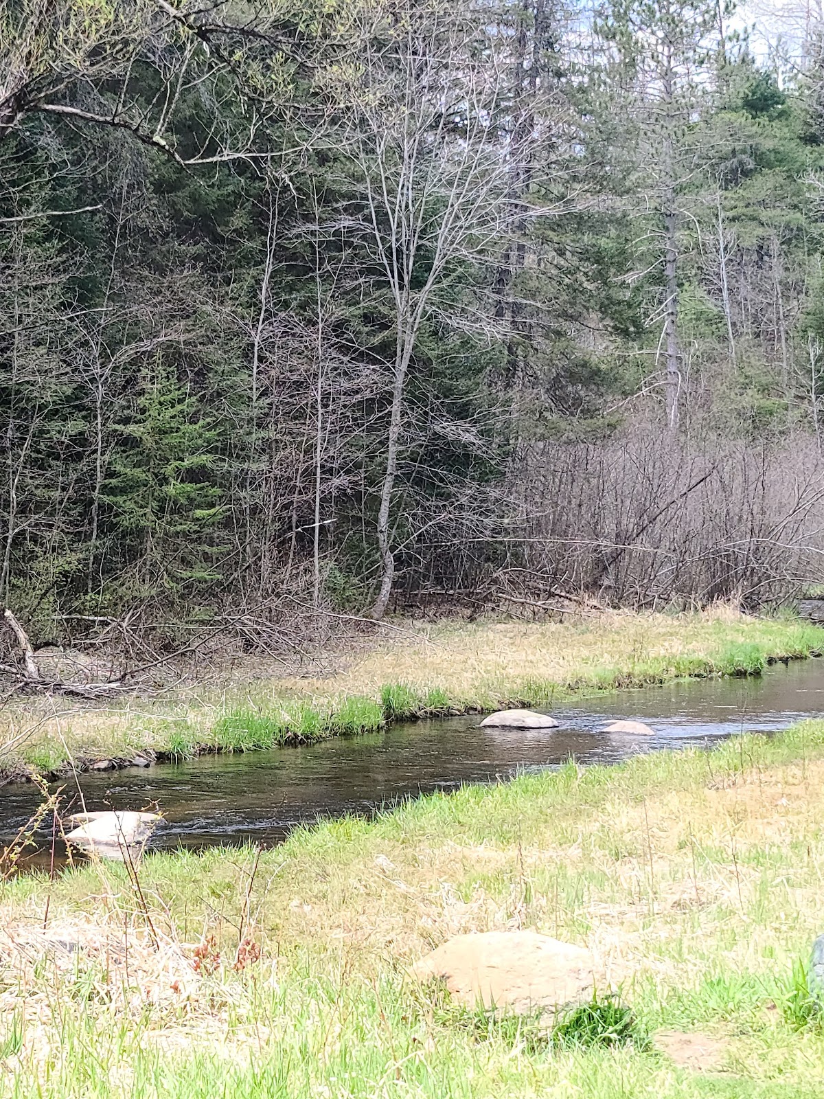 Deerskin River