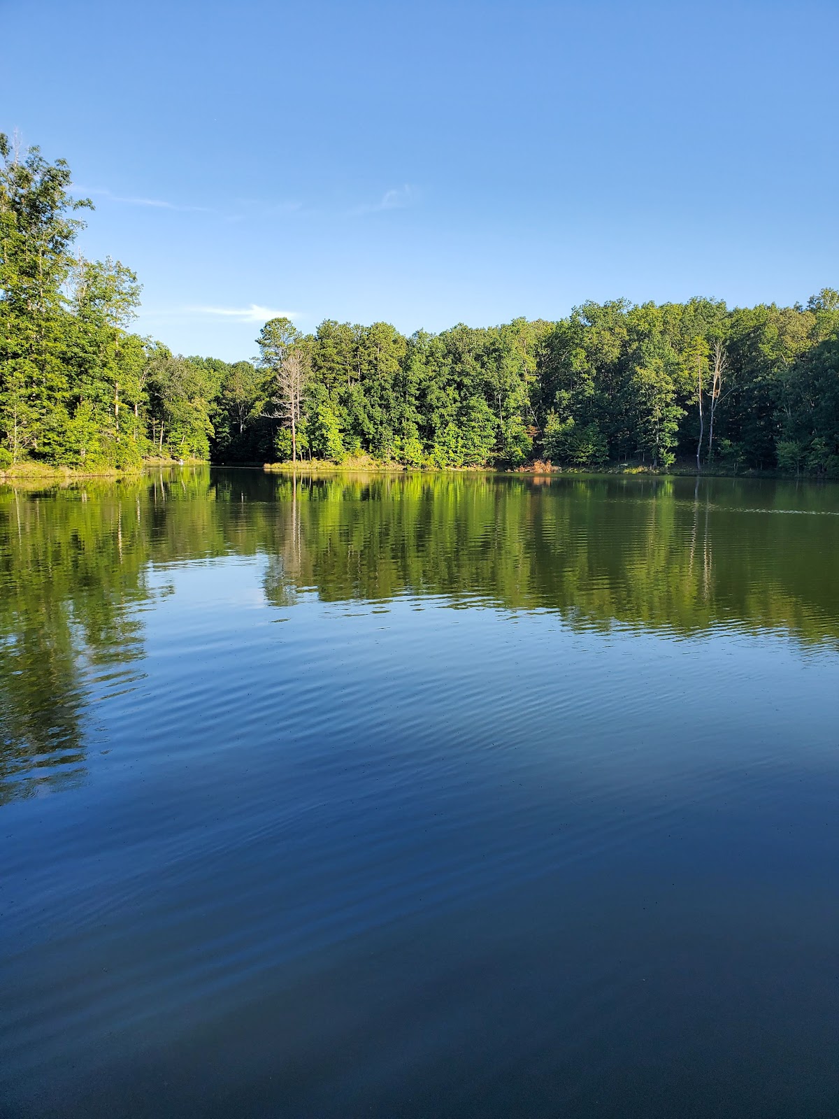 Hickory Log Reservoir