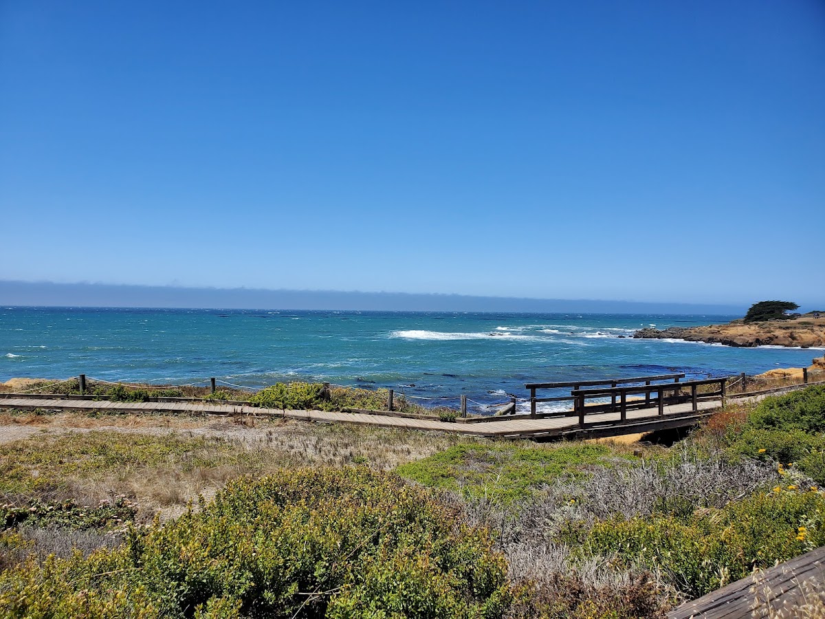 Moonstone Beach