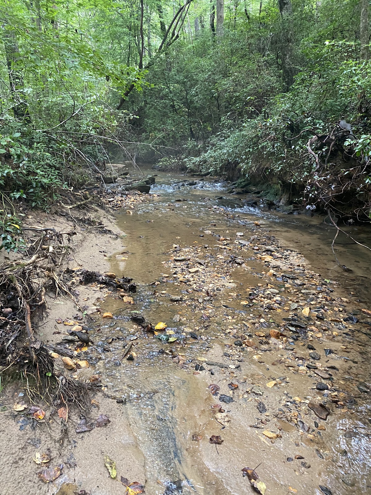 Grove Creek