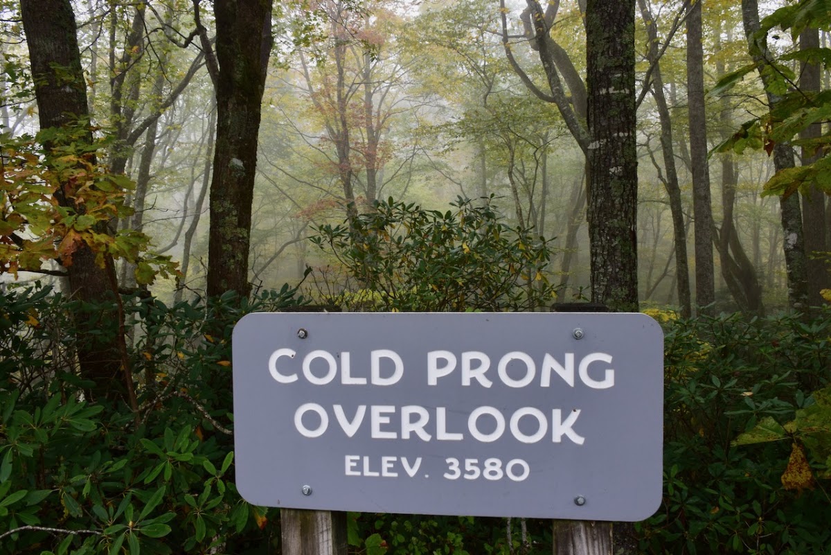 Cold Prong Pond Loop