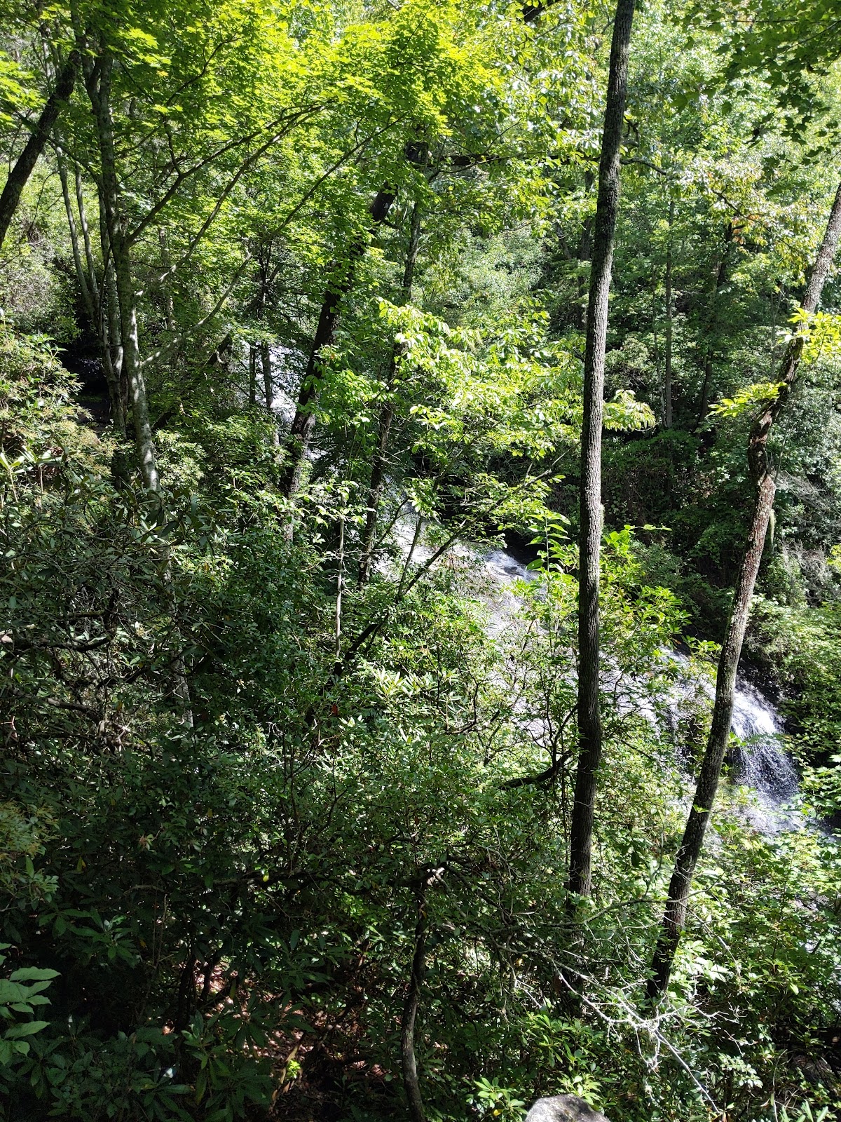West Fork Crane Creek