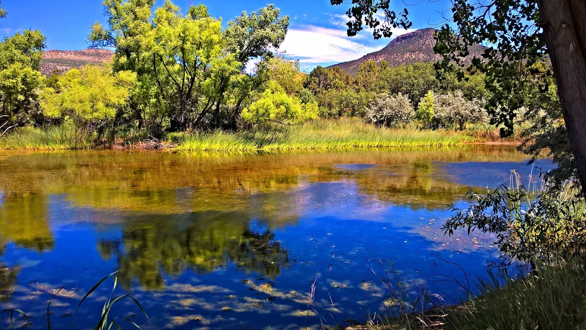 Clear Creek