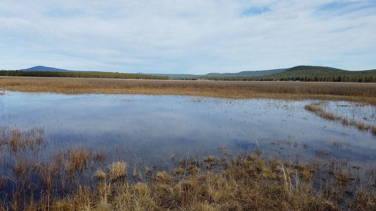 Aspen Lake