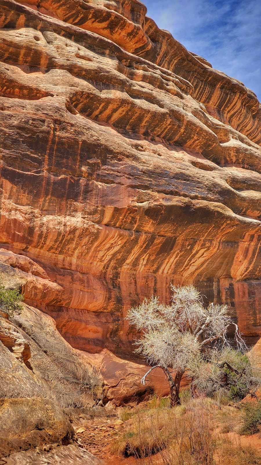 White Canyon