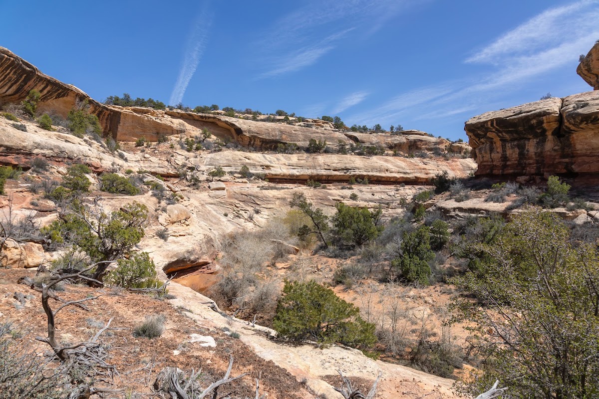 Armstrong Canyon