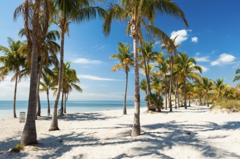 Crandon Park