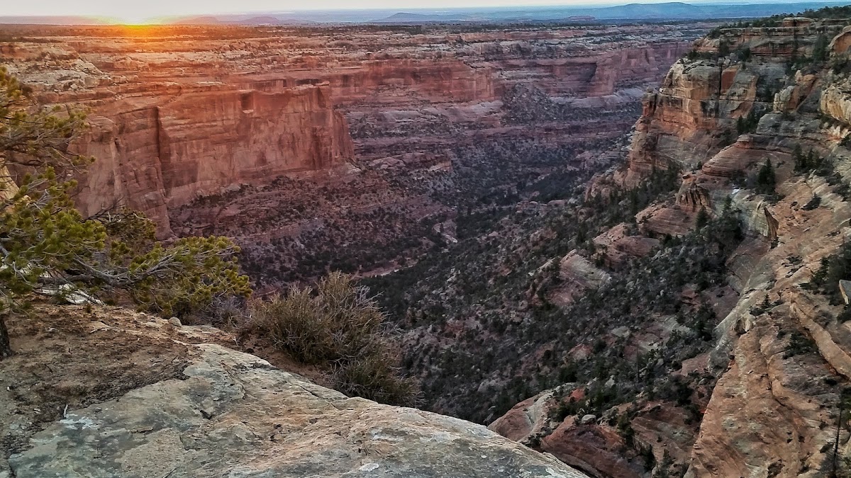 Arch Canyon