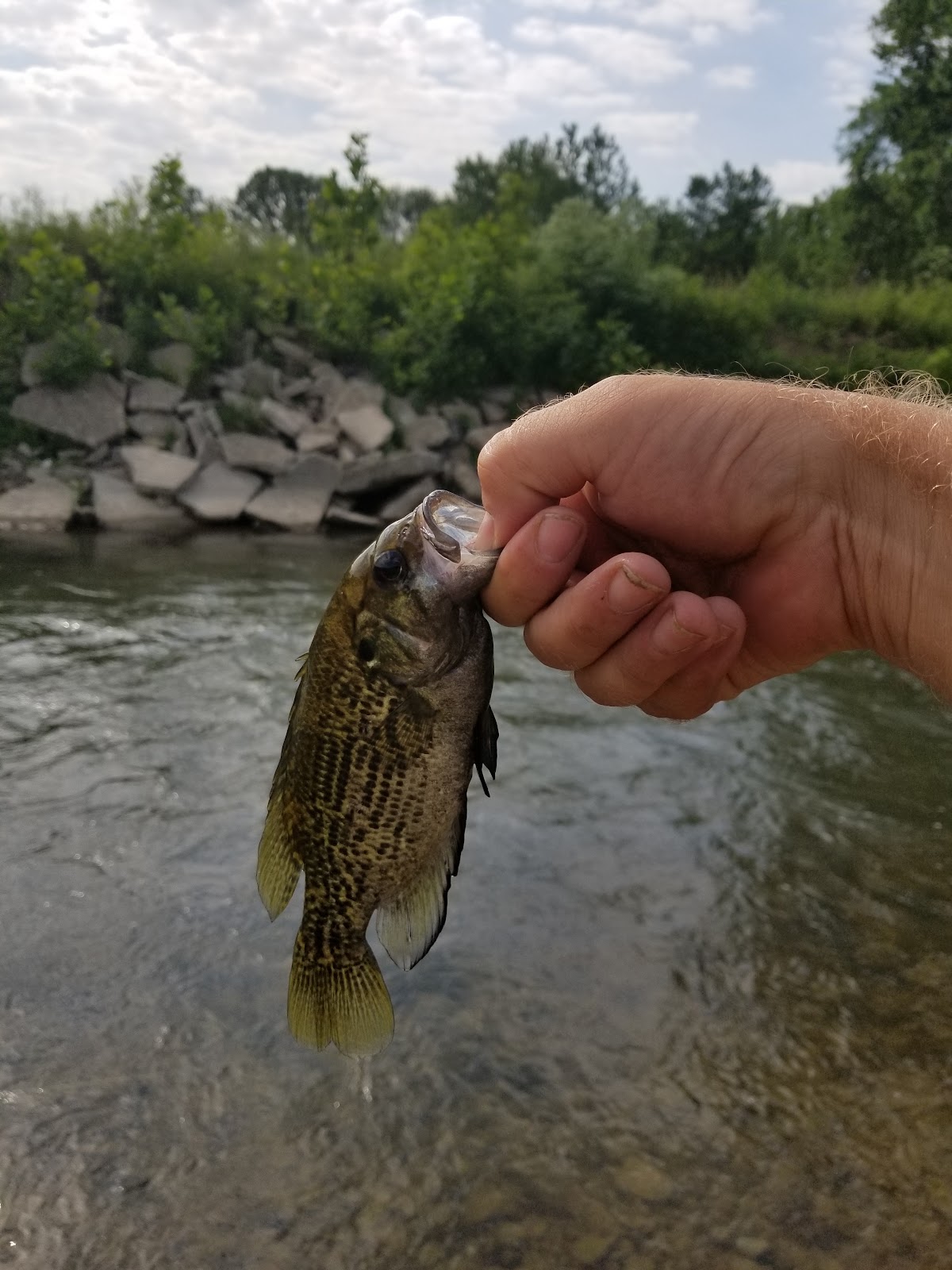 Big Walnut Creek