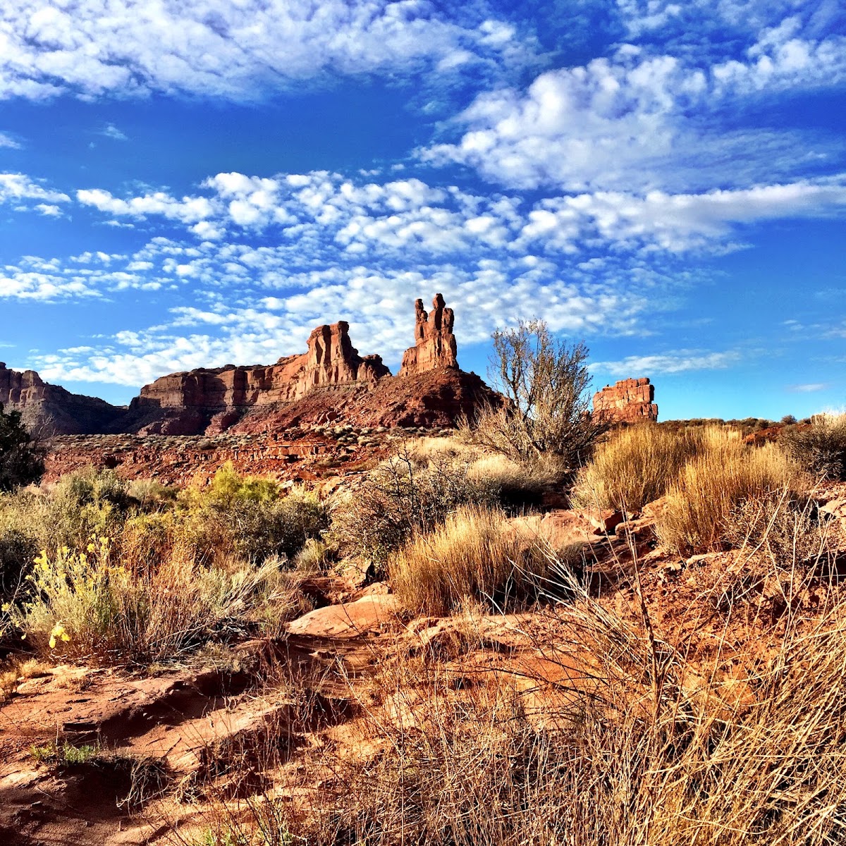 Road Canyon