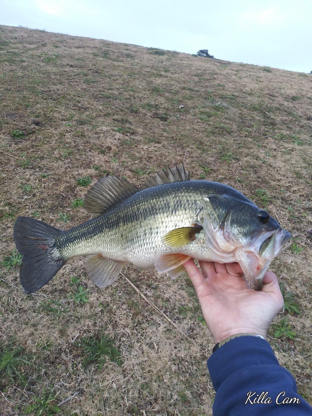 Rockyford Lake