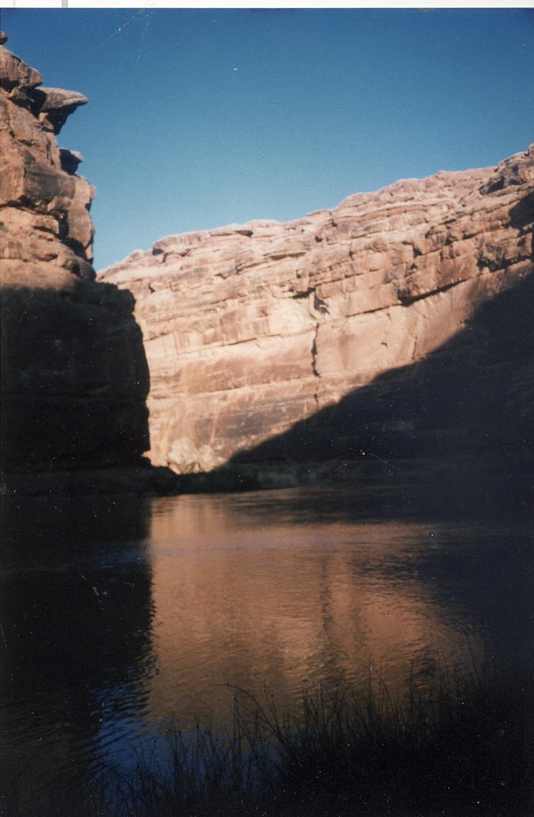 Steer Gulch