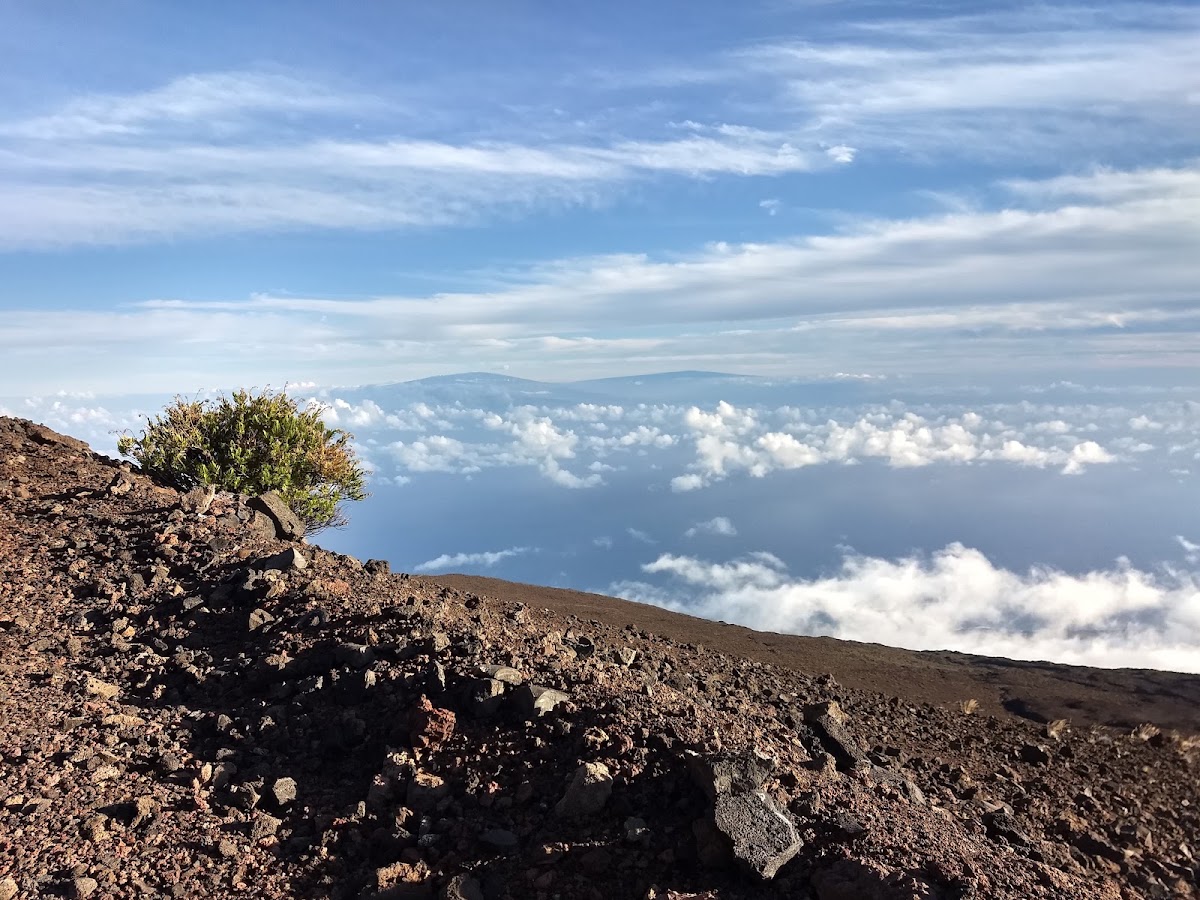 Skyline Trail