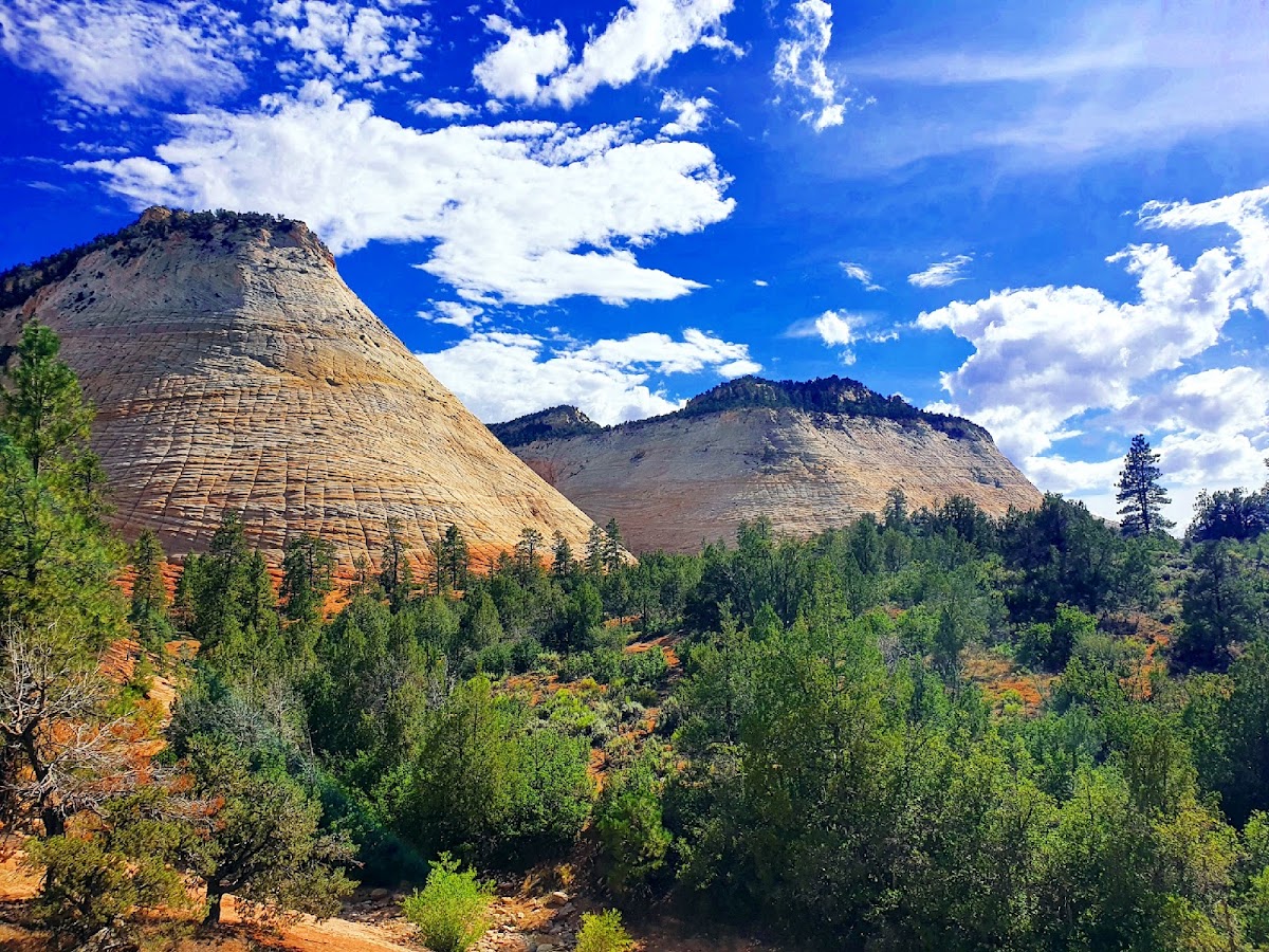 Checkerboard Mesa