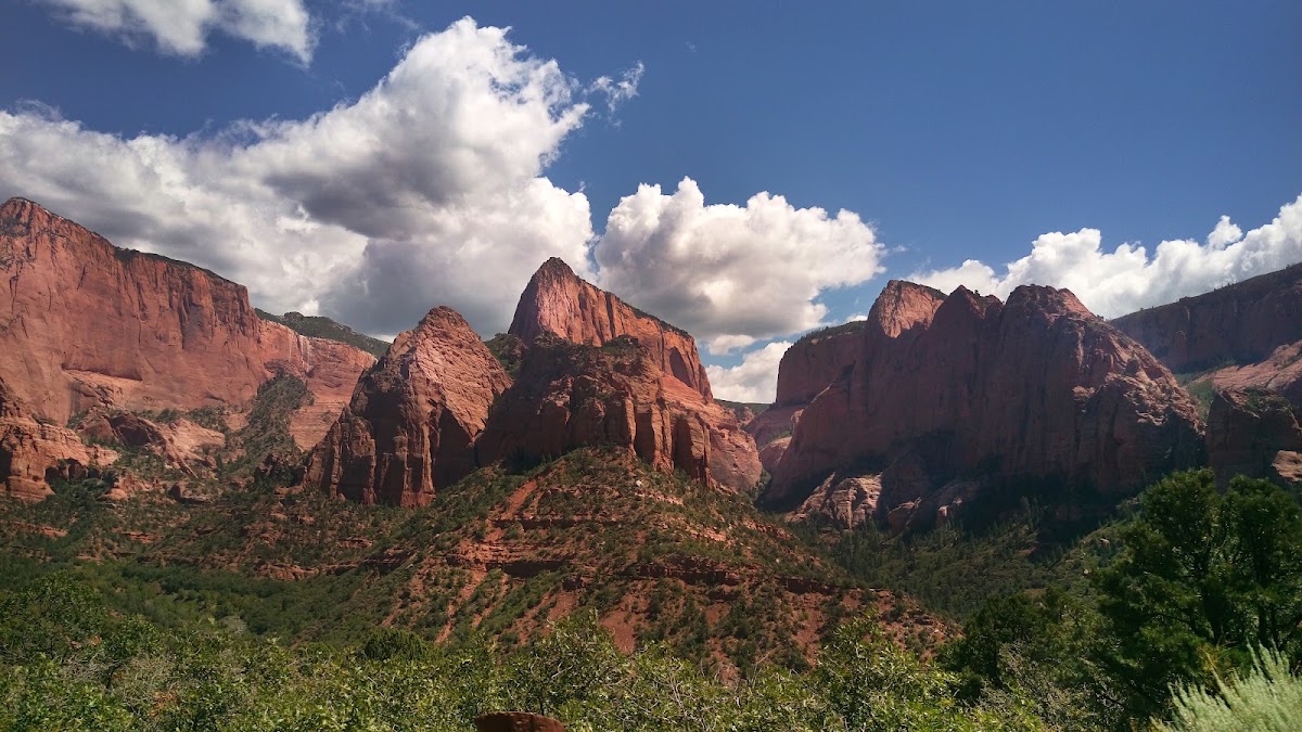 Timber Top Mountain