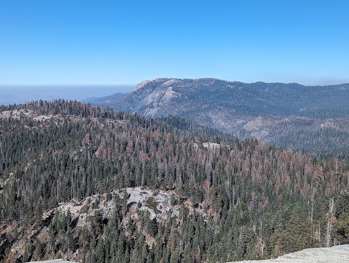 Little Baldy Trail