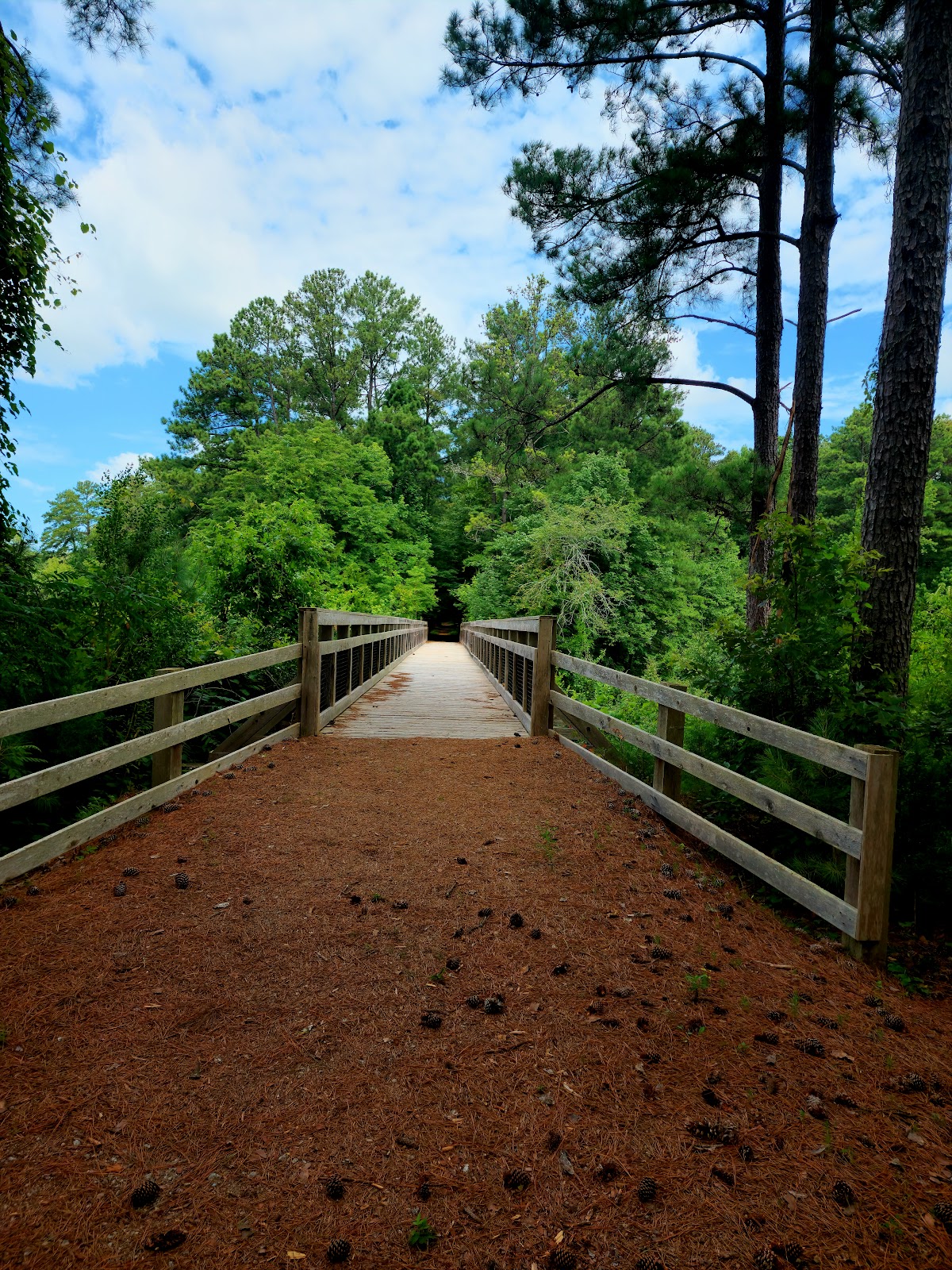 Savannah Valley Railroad Trail