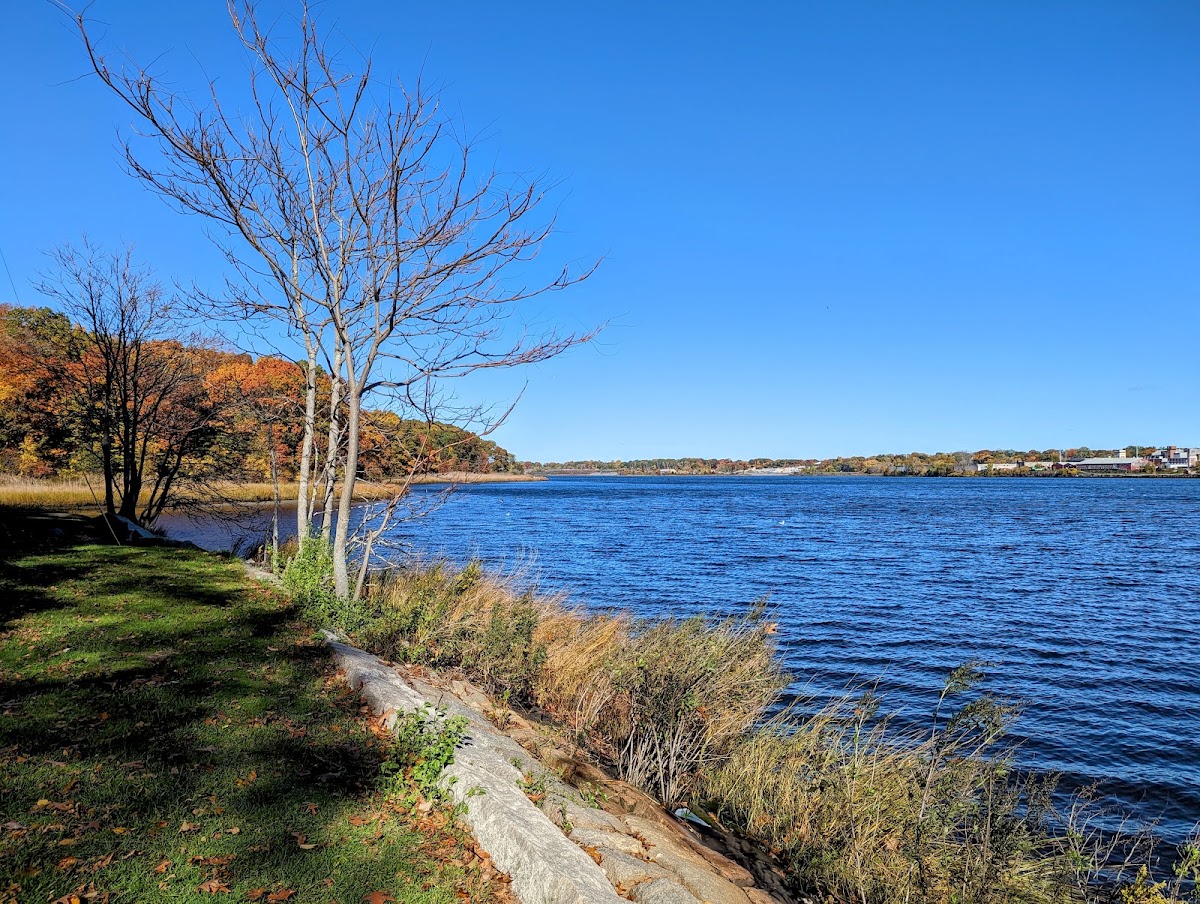 Blackstone Park