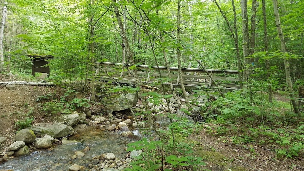 Bucklin Trail