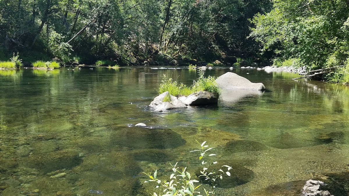 North Fork Middle Fork Willamette River